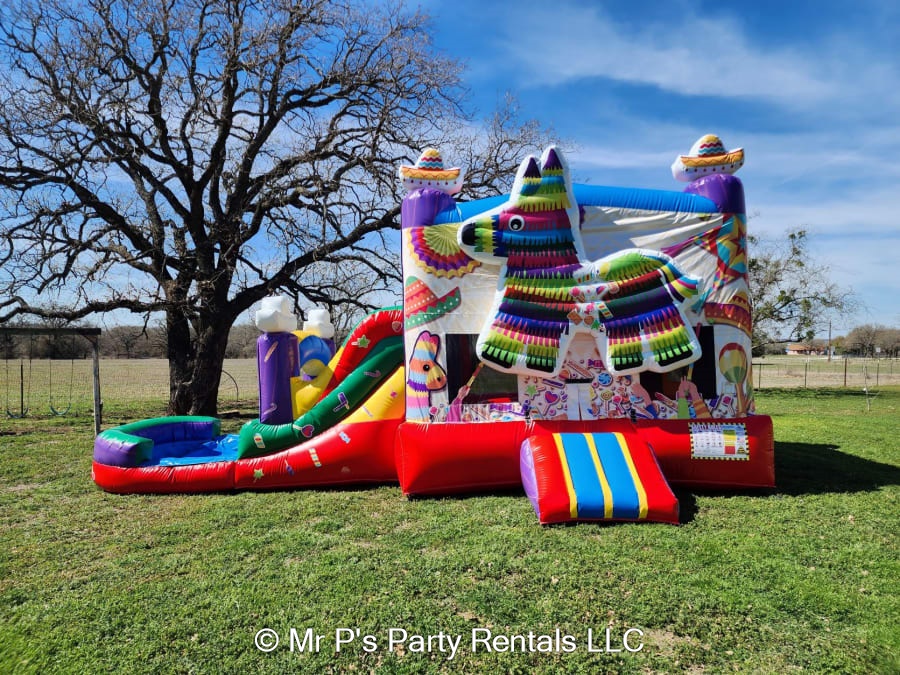 When Are Best Inflatable Bounce House With Slide Chicago Sales thumbnail