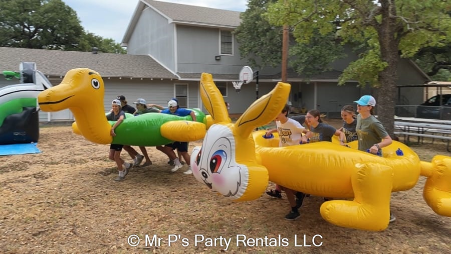 Tortoise & Hare Race Best Bounce House Rental service in Lipan, Fort